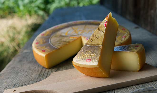 В торговом центре Selgros Cash&Carry появились новинки швейцарских сыров – Сан-Кристоф и Фьор Делли Альпи